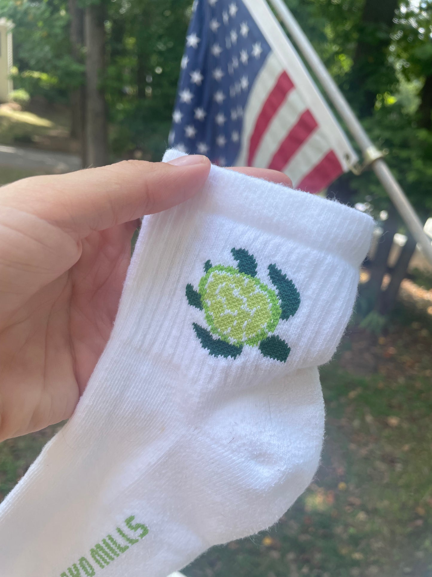 Turtle Socks